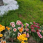 아파트 Chez Marie-claire *